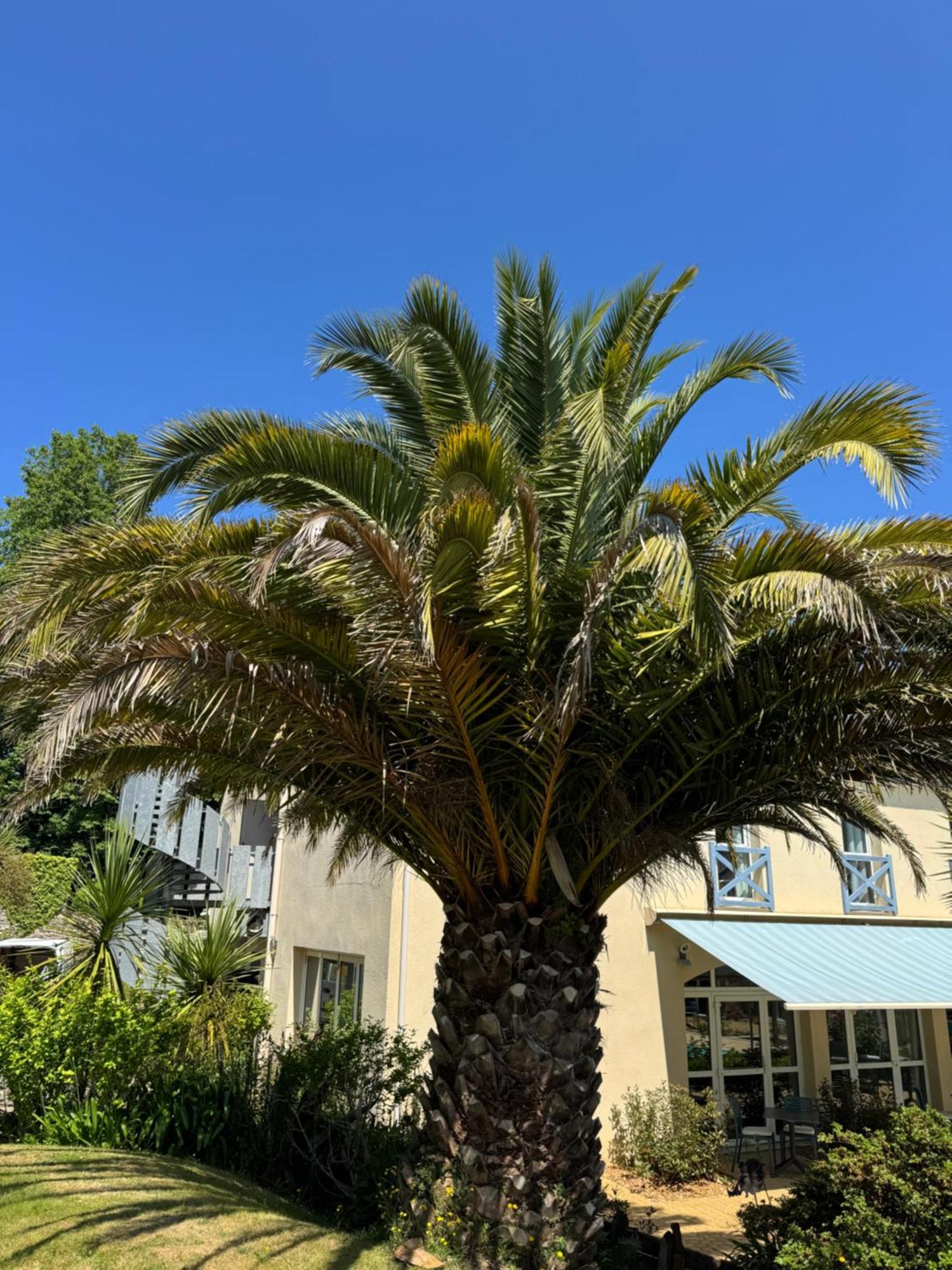 Aigue Marine Logis Et Restaurant 3* Tréguier