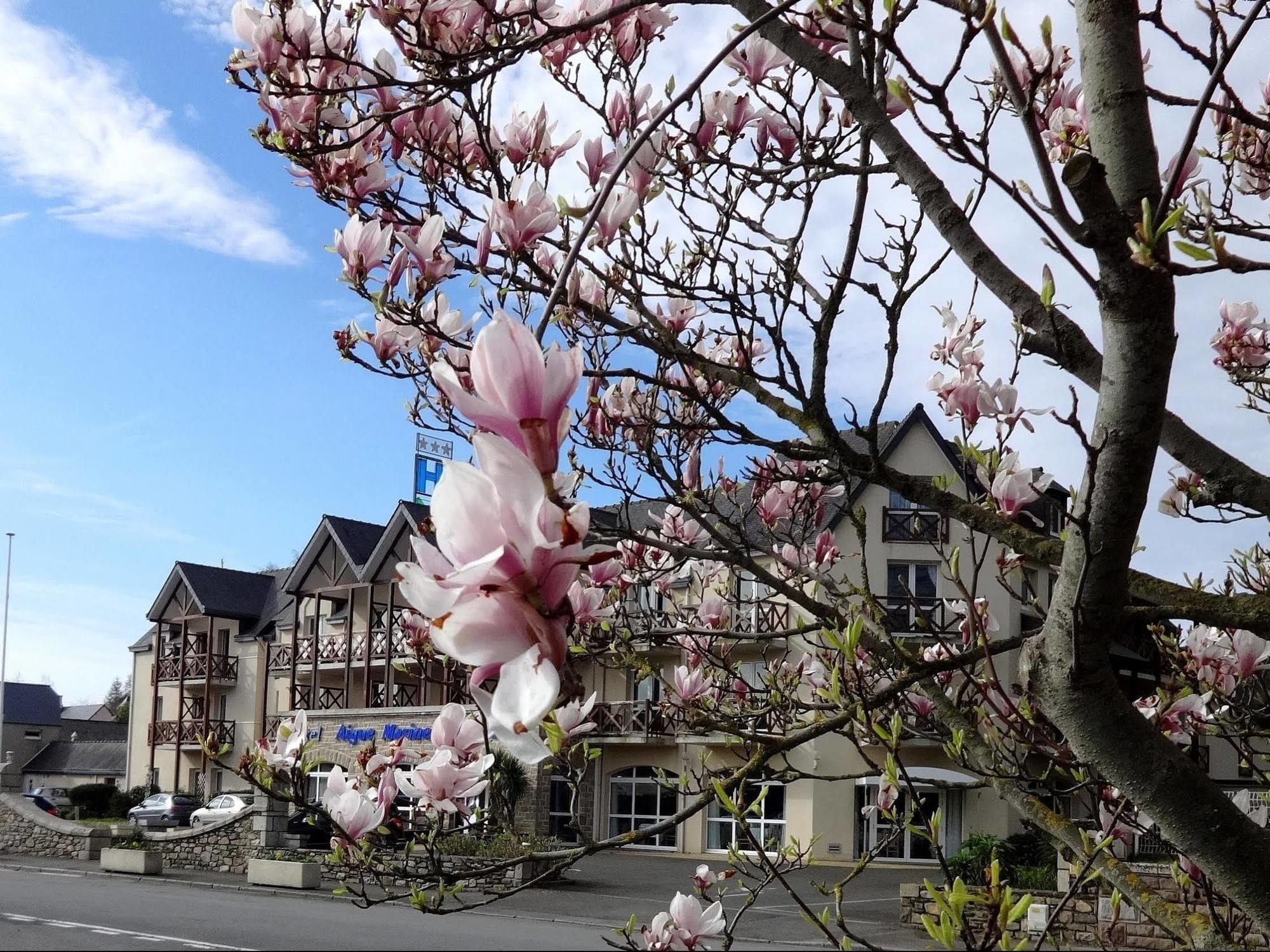 Aigue Marine Logis Et Restaurant Hotel 3*